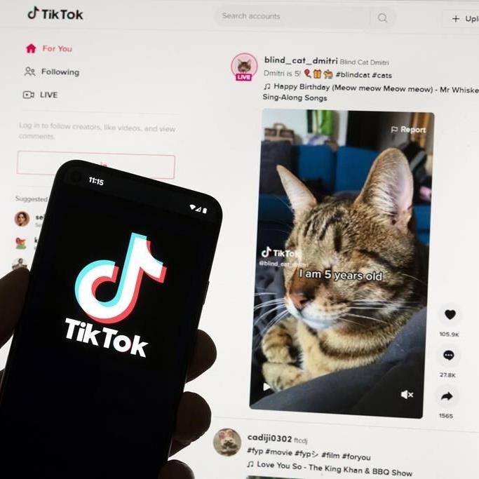 The EU ratchets up pressure on TikTok's new rewards app over risks to kids, warns of suspension